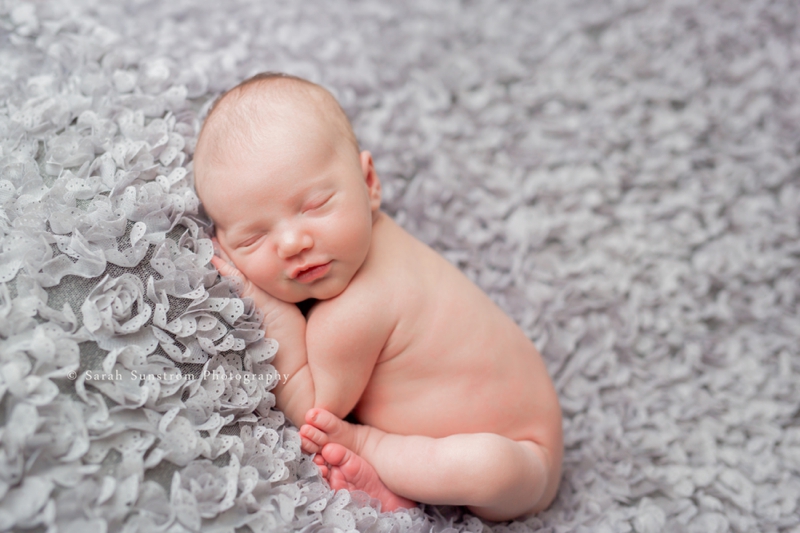 QC Newborn Photographer | Sarah Sunstrom Photography 01.jpg QC Newborn Photographer | Sarah Sunstrom Photography 01.jpg